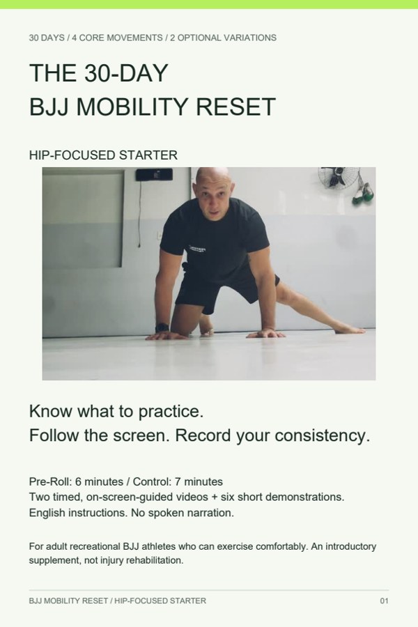 Actual cover of the 14-page hip-focused starter guide